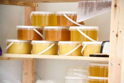 Как правильно хранить мед в квартире: многие допускают эти ошибки - belnovosti.by