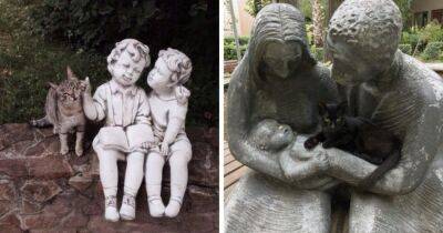 Константин ВЕЛИКИЙ (Великий) - 14 случаев, когда чудесные котики решили составить компанию статуям, став в итоге их главным украшением - mur.tv
