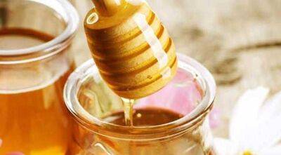 Как самому выбрать качественный мед и как его потом правильно сохранить? - sadogorod.club