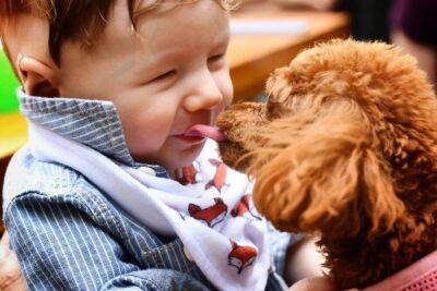 Как и почему ребенок начинает любить животных? - lifehelper.one