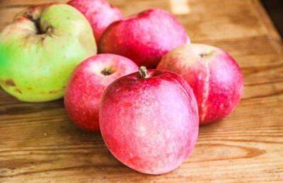 Марин Михалап - Какие 3 хитрости позволят выбрать максимально сладкие и сочные яблоки: не все об этом знают - lifehelper.one