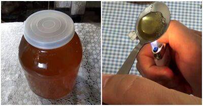 Как отличить качественный мёд от подделки? Реально рабочие домашние способы покажут истинную картину - lifehelper.one