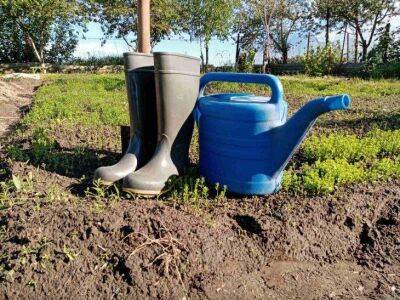 Как с помощью сапропеля восстановить плодородие почвы осенью - sadogorod.club