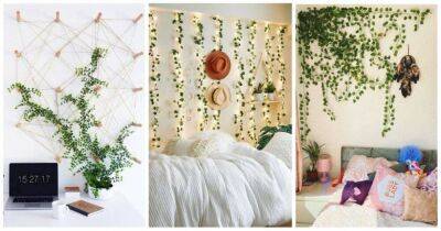 Современные идеи украшения стен вьющимися растениями: создайте зеленый оазис в своем доме - lifehelper.one