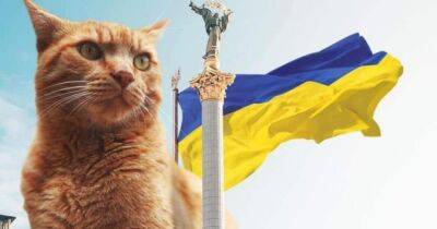 UAnimals опублікував ролик, на якому тварини виконали гімн України - womo.ua