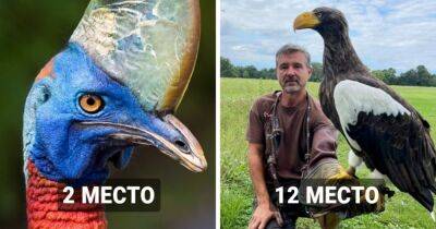 17 крупнейших птиц планеты, которые не стесняются демонстрировать мощь и силу, подаренные природой - mur.tv