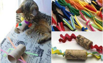 13 лучших игрушек для котов, которые можно быстро сделать своими руками - fokus-vnimaniya.com