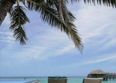 Под белы рученьки привели в рай: отзыв туристки о Мальдивах - fokus-vnimaniya.com - Мальдивы - Турция - Эмираты
