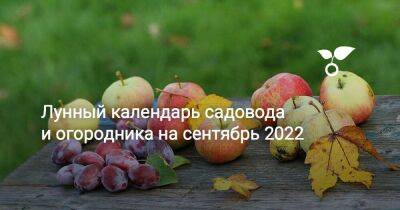 Лунный календарь садовода и огородника на сентябрь 2022 - sadogorod.club