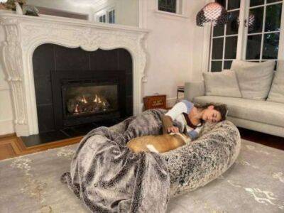 Канадский стартап выпустил в продажу огромную собачью лежанку для людей - chert-poberi.ru