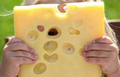 Почему сыр весь в дырочках, и откуда они берутся - chert-poberi.ru