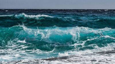 Почему вода в океане соленая: причины и теории - porosenka.net