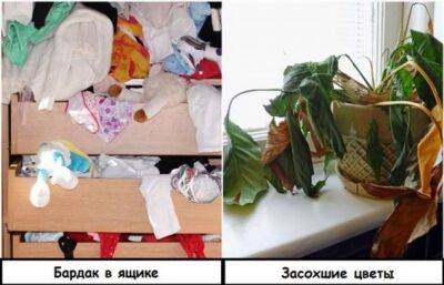 8 вещей в доме, которые портят настроение и вызывают депрессию - milayaya.ru