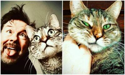 Актер Рики Джервейс думал взять кошку на передержку, но та изменила его планы - porosenka.net
