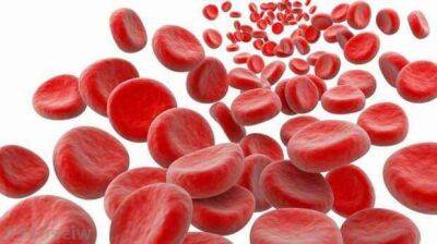 Чем повысить гемоглобин в крови? Продукты и их список - lublusebya.ru