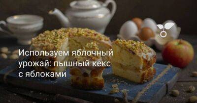 Используем яблочный урожай: пышный кекс с яблоками - sadogorod.club