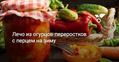 Лечо из огурцов-переростков с перцем на зиму - sadogorod.club