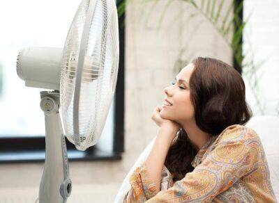 Почему вентилятор полезен в хозяйстве круглый год? - lifehelper.one