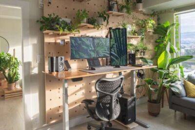 20+ доказательств того, что растения — крутейший способ преобразить квартиру без безумных вложений - milayaya.ru