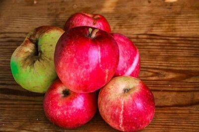 5 вариантов использования яблочной кожуры в быту и кулинарии - lifehelper.one