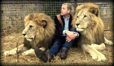 Олег Зубков - Как директор крымских зоопарков стал своим в стае львов, и За что сам попал за решетку: Олег Зубков - mur.tv