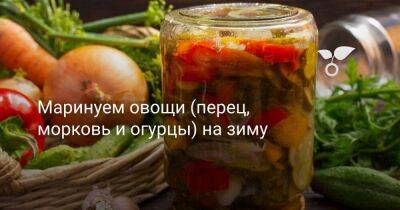 Маринуем овощи (перец, морковь и огурцы) на зиму - sadogorod.club