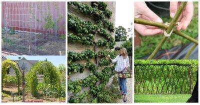 Удивительные идеи живых садовых украшений и построек, которые можно сделать своими руками - cpykami.ru