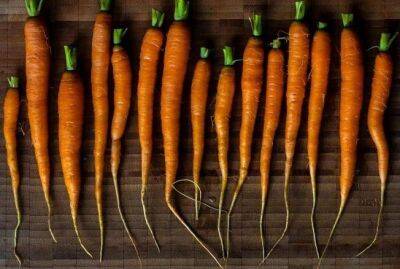 Кулинарная хитрость при варке моркови, чтобы ускорить процесс готовки - sadogorod.club