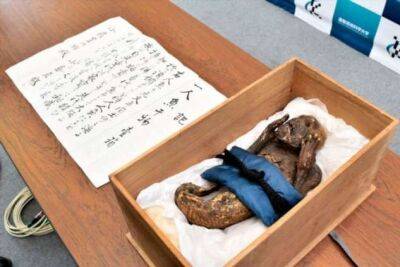 300-летняя мумифицированная «русалка» с «человеческим лицом» - chert-poberi.ru - Япония