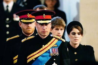 принц Гарри - принцесса Беатрис - принц Уильям - принц Эндрю - Елизавета II (Ii) - принцесса Евгения - принцесса Анна - Питер Филлипс - Зара Тиндалл - король Карл III (Iii) - Внуки и внучки Елизаветы II провели траурное бдение у ее гроба - spletnik.ru - Англия - Афганистан