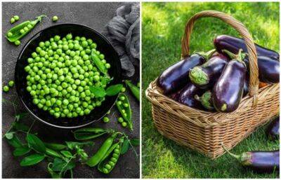 9 овощи, которые не стоит есть каждый день: все «за» и «против» - milayaya.ru