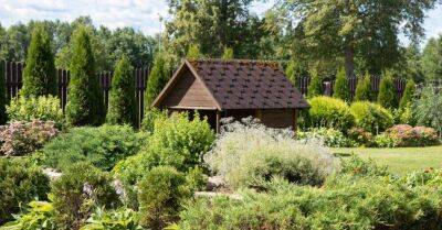 ФОТО: Самые ухоженные и красивые сады Смилтене в этом году - sadogorod.club