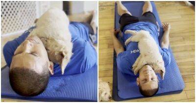 Как проходит йога с собаками - mur.tv