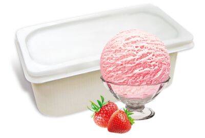 Контейнеры от мороженого как специальная тара для морозильной камеры - polsov.com