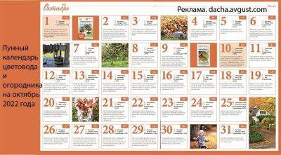 Лунный посевной календарь садовода, цветовода и огородника на октябрь 2022 года - sadogorod.club