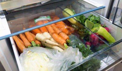 Секреты хранения моркови в холодильнике - lifehelper.one