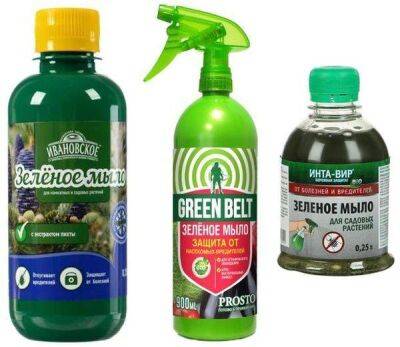 Зеленое мыло для растений: для чего применяется, как использовать от вредителей, инструкция - sadogorod.club