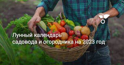 Лунный календарь садовода и огородника на 2023 год - sadogorod.club