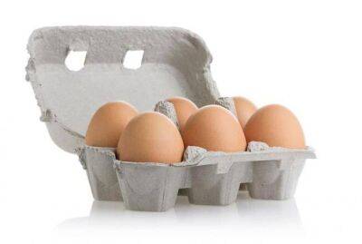 Ученые предложили европейцам утеплять дома упаковками от яиц и ланч-боксами - sadogorod.club - Египет - Каир