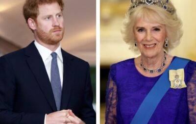 принц Гарри - принцесса Диана - Кейт Миддлтон - принц Уильям - принц Чарльз - Карл III (Iii) - Принц Гарри заявил, что королева Камилла "отбеливала" свою репутацию подкупая британские СМИ - hochu.ua - Англия