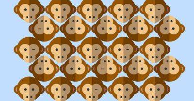 Взгляни на картинку и ответь, сколько обезьян флиртуют с тобой - lifehelper.one