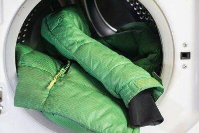 Можно ли оставлять мокрое белье в стиральной машине - sadogorod.club