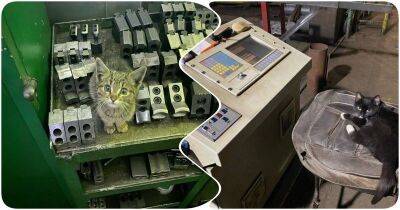 12 котов-работяг, которые не покладая лап трудятся на заводе - mur.tv