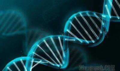 25 фактов о ДНК, которые помогут вам разобраться в себе - fokus-vnimaniya.com