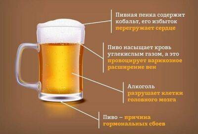 Как пиво влияет на здоровье - polsov.com