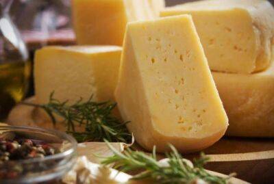 Сыр съедят быстрее, чем он испортится: как сохранить свежим и надолго - sadogorod.club
