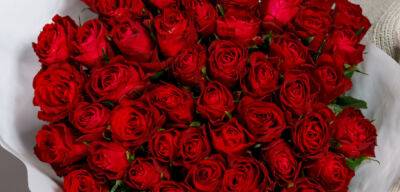 Пять причин подарить любимой женщине букет роз на 8 марта - jlady.ru