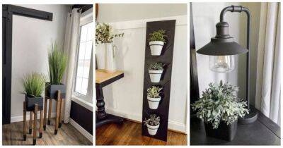 10+ красивых и уютных идей украшения интерьера комнатными растениями - lifehelper.one