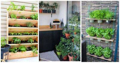 Если нет дачи, а посадить ароматные травы хочется: полезные идеи мини-огорода на балконе - lifehelper.one
