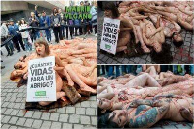 Голый протест зоозащитников в Мадриде - chert-poberi.ru - Мадрид